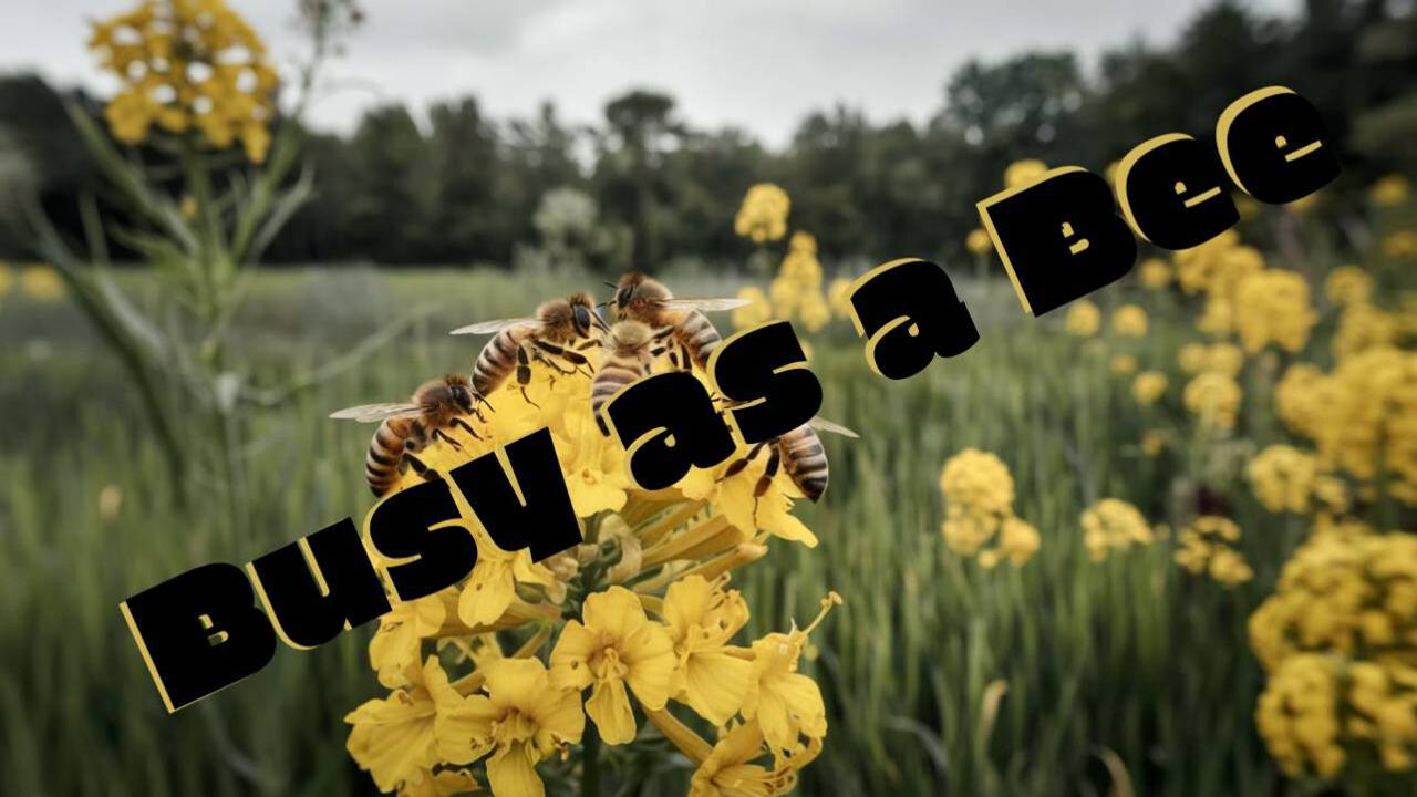 Children’s Bible Stories-Busy as a Bee