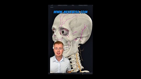 Trigeminal neuralgia relief with Craniocervical care | Neckwise upper cervical