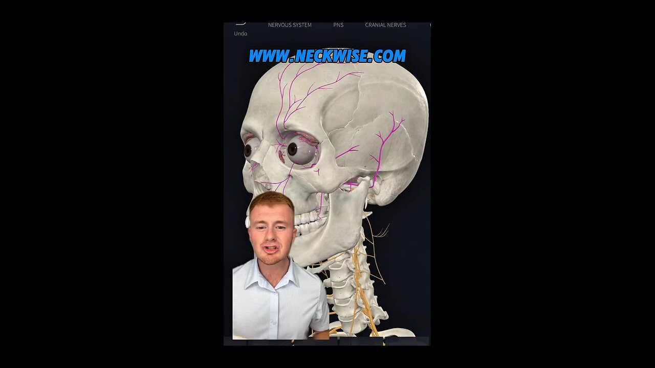 Trigeminal neuralgia relief with Craniocervical care | Neckwise upper cervical
