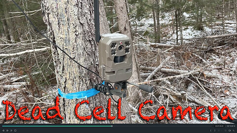 Dead Cell Camera