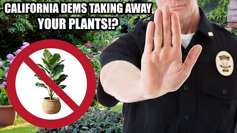 California Politicians Coming After Your Plants - The Morning Answer w/ Jennifer Horn 1/9/26
