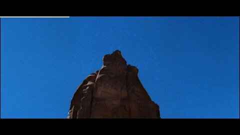 100 chickens is here