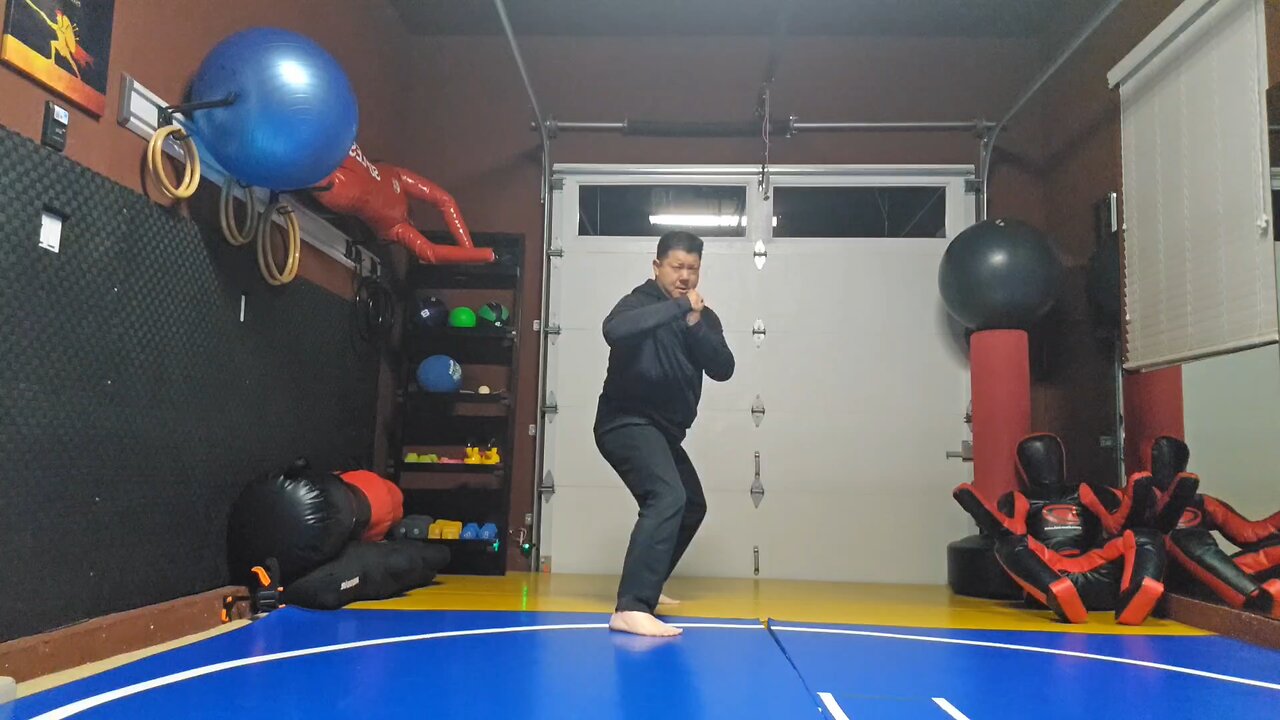 WTD Rear Double Side Kick sequential