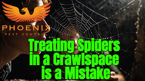 Treating a Crawlspace for Spiders is a Mistake