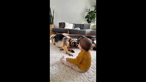 Funny Dog 🐕 and baby 🥰