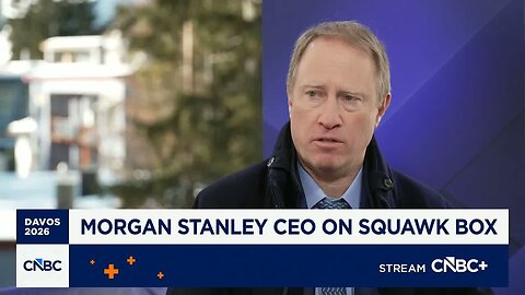 Morgan Stanley CEO Ted Pick: Corporate health of large cap companies is excellent