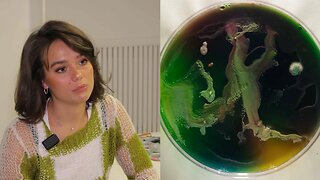 Artista convierte moho en obras de arte