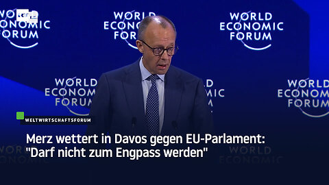 Merz wettert in Davos gegen EU-Parlament: "Darf nicht zum Engpass werden"