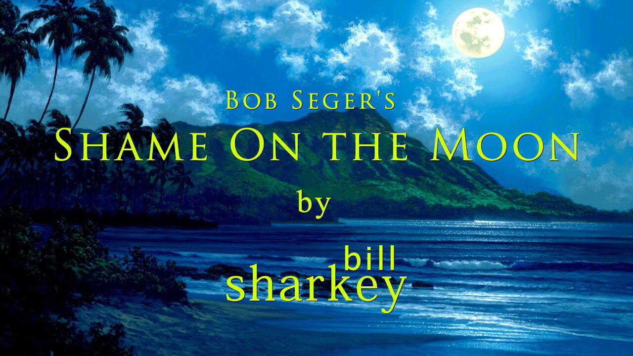 Shame On the Moon - Bob Seger (cover-live by Bill Sharkey)