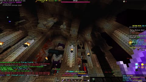 Skyblock FLOOR 7 [#2904]