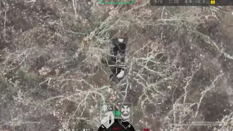 Another Productive Week for Ukrainian 1st Brigade Near Kupyansk