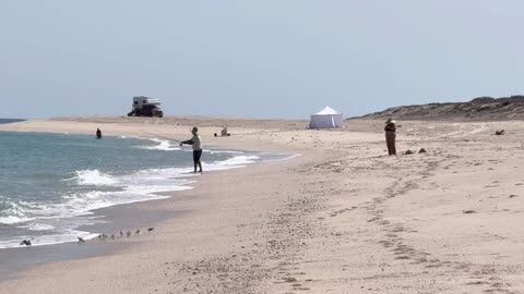 Flavonoids as Potential Therapeutic Agents for Cardiovascular Disease