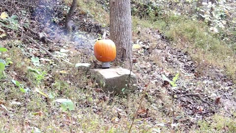 Pumpkins and fireworks what could go wrong?
