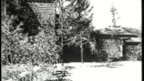 German Newsreel 658 - April 14, 1943