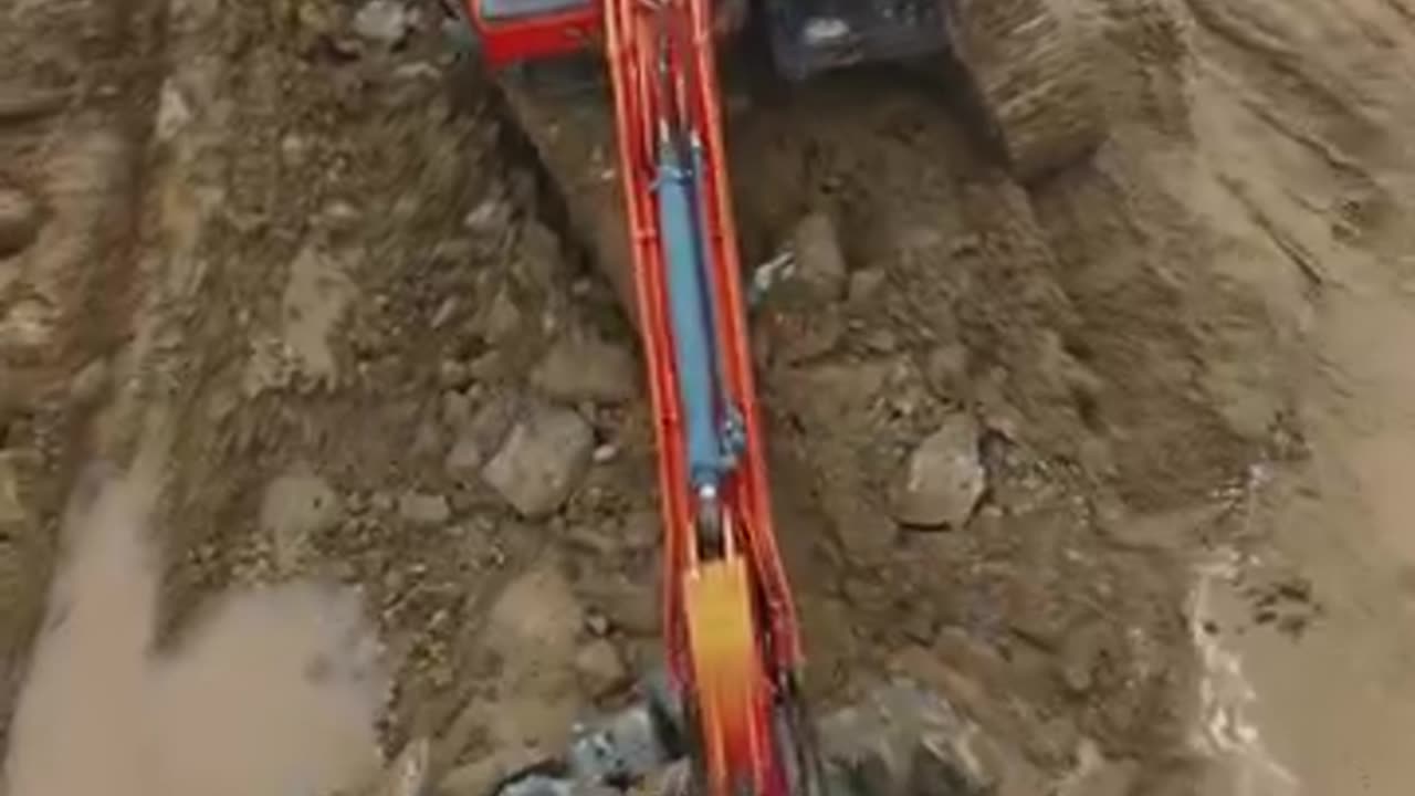 Alertă de știri false!