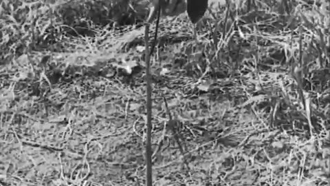 [RUBBER EMPIRE] - [RUBBER EMPIRE] - fc-fc-2635