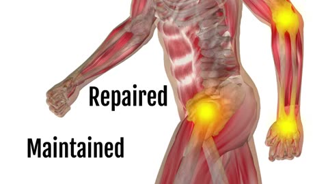 MSM is Nature's Miracle Mineral - *Organic Sulfur*