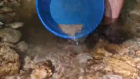 Found real gold in mountain streems/gold panning