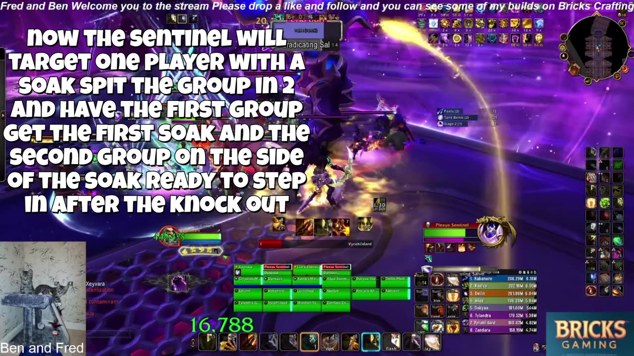 Quick guide to Plexus Sentinel
