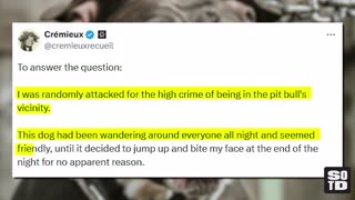 3 (Very Serious) Solutions To The Pitbull Question