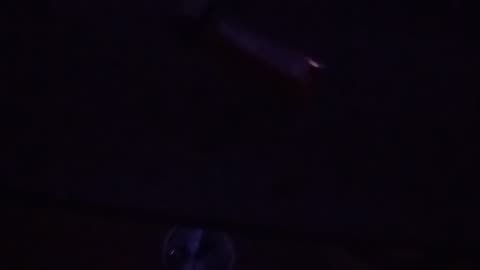 Who likes to wrestle