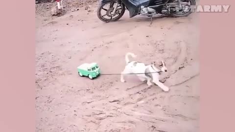When a Dog Becomes a Baby’s Lifelong Friend ❤️