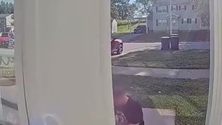 😂🤡 Watch This Hilarious 'Playing Dumb' Fail! | FunFM