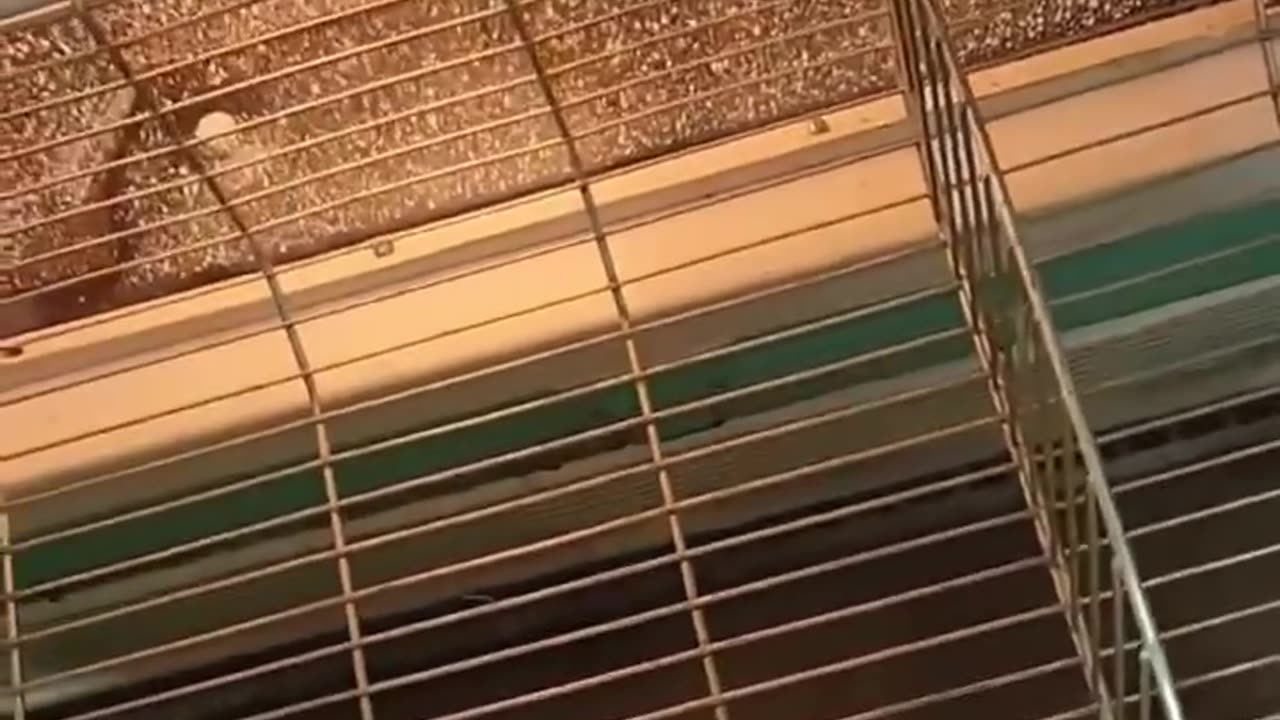 The refrigerators of the 50s / 60s lasted a very long time and their performance was incredible