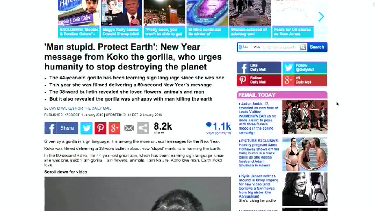 IW Archives 2016 Jan 04