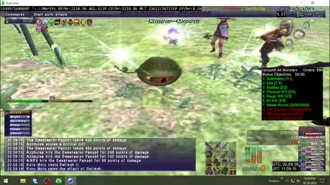 Playing Final Fantasy XI Online