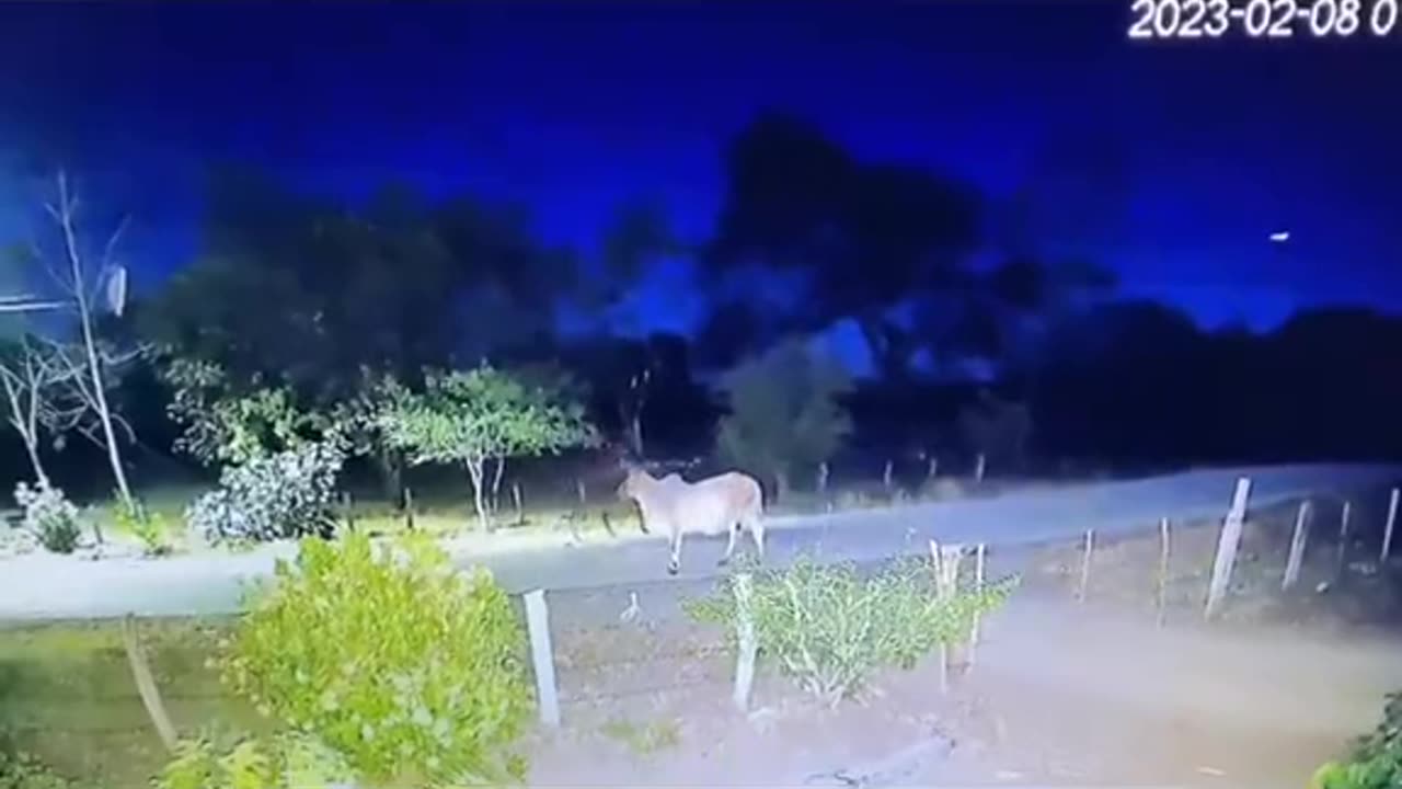 😱👻 What They Caught on Camera Will Give You Nightmares! Ouija Poltergeist | TheHauntingHour