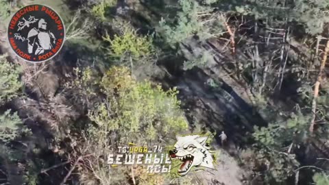 Ukraine war combat footage 10/7/25