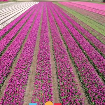 😊 206 NO IMPORTA CUÁN GRANDE SEA TU SUEÑO… 😊