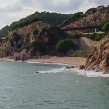 White and Cream Clean Simple Business Instagram story