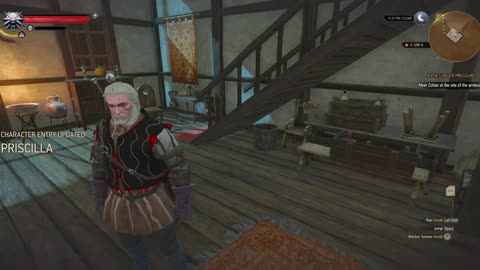 The Witcher 21