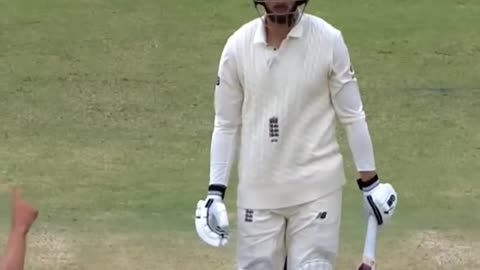 Best Ball of the Ashes