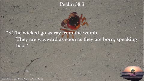 Psalm 58:3