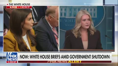 Kaitlan Collins Pushes Leavitt on Shutdown Layoffs: Isn’t That the ‘President’s Call?’