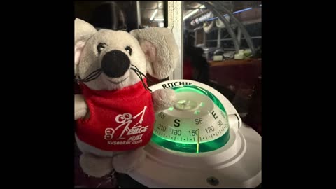 Happy Thanksgiving Trolls