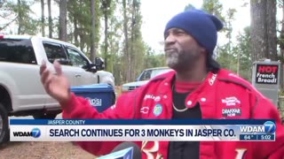 Citizen talks about missing monkeys