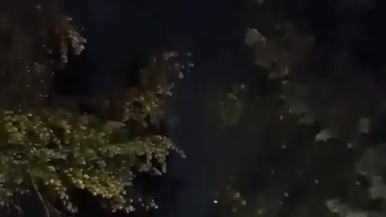 🛸🤯 Are These Drones or Something More? Sighting Over Bellevue, WA! | TheTruthAbove