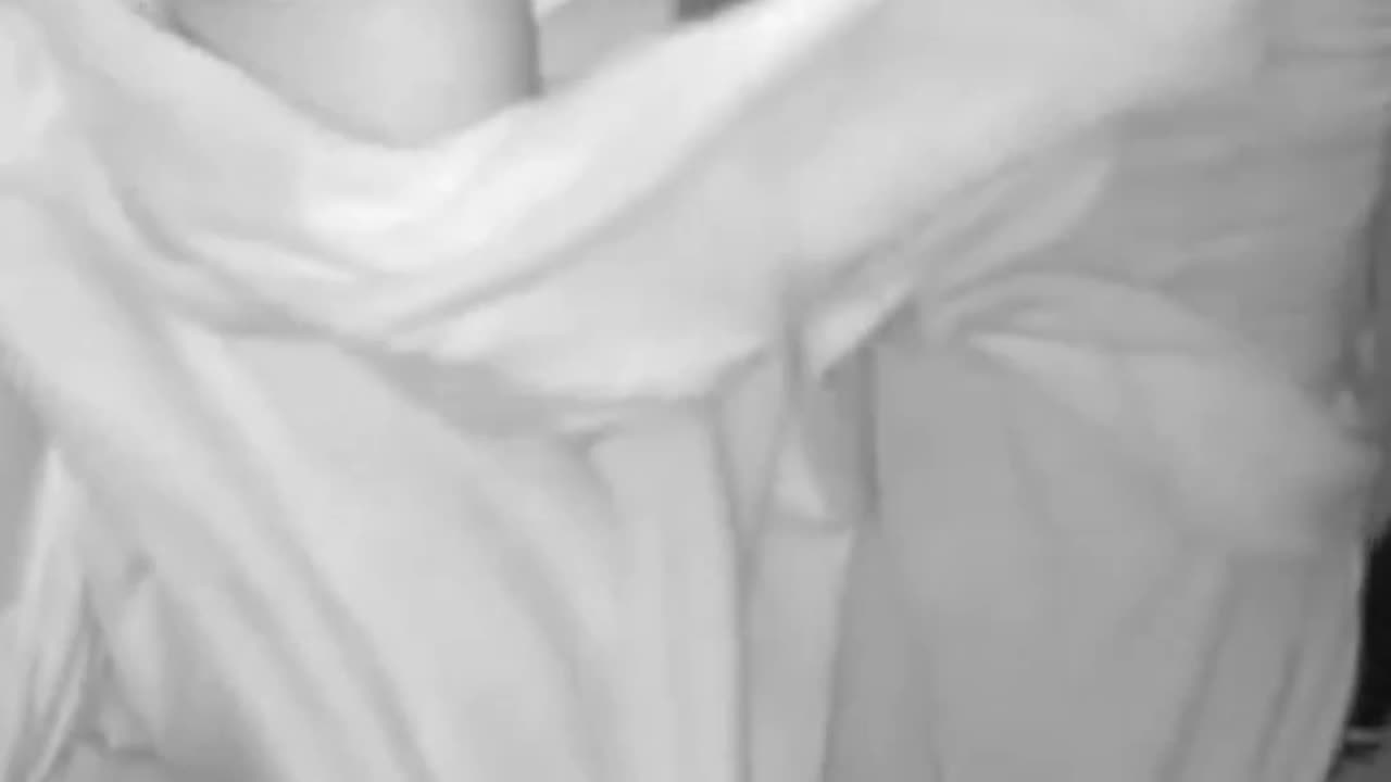 Which one of these techniques does your cat use? 🤣