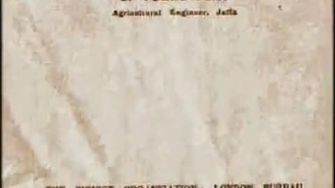 World War 1 and the Belfour Declaration