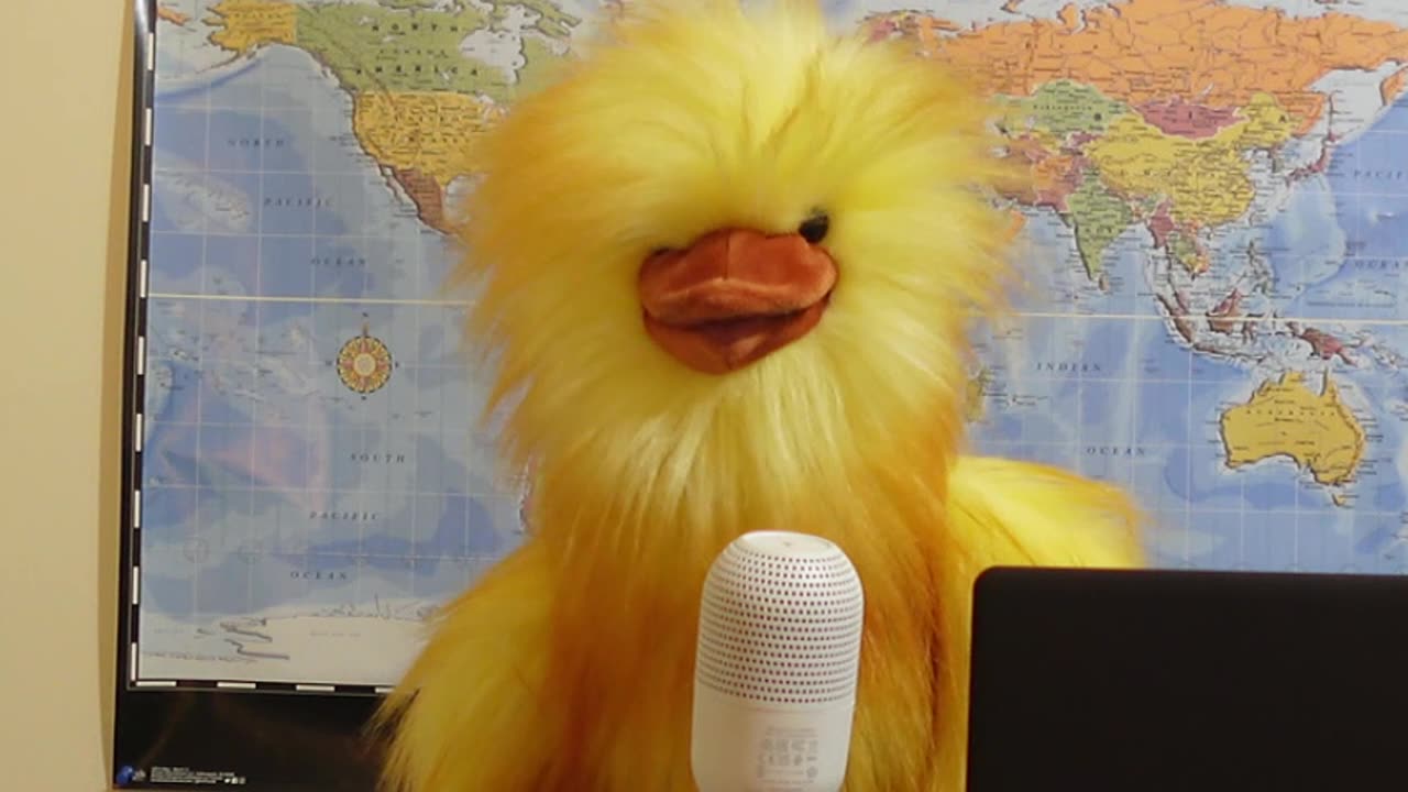 URGENT Public Service Announcement From CGPA Puppet News...