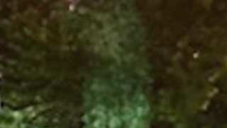 Florida Men Be Wildin'! 54-Year-Old Man in Ghillie Suit Shoots Victim with Gel Balls