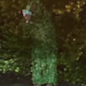 Florida Men Be Wildin'! 54-Year-Old Man in Ghillie Suit Shoots Victim with Gel Balls