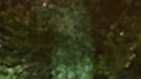 Florida Men Be Wildin'! 54-Year-Old Man in Ghillie Suit Shoots Victim with Gel Balls