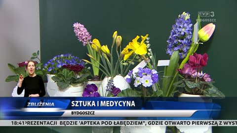 Zbliżenia HD TVP3 Bydgoszcz 16.02.2025