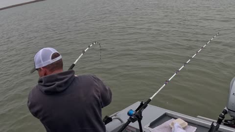 12-06-25 Suisun City, Ca. 40” Sturgeon