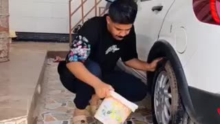 Breaking: FUNNIEST CAT VIDEOS 2025 COMPILATION Funny Cats 60#funny #pet #cat #fo